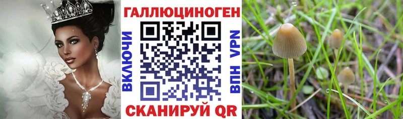 Галлюциногенные грибы прущие грибы Ейск