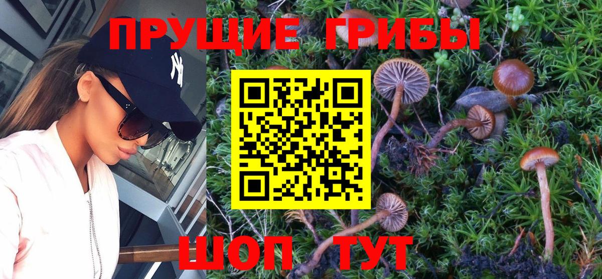 Псилоцибиновые грибы Magic Shrooms Ейск