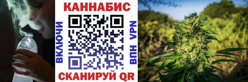 наркотики  Ейск  Шишки марихуана планчик 